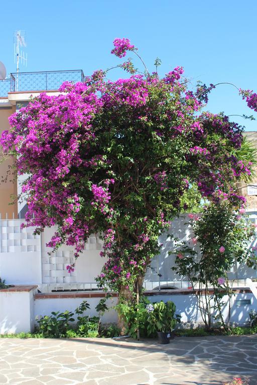 Casa Agrumeto - Locazione Turistica Mondello Bilik gambar