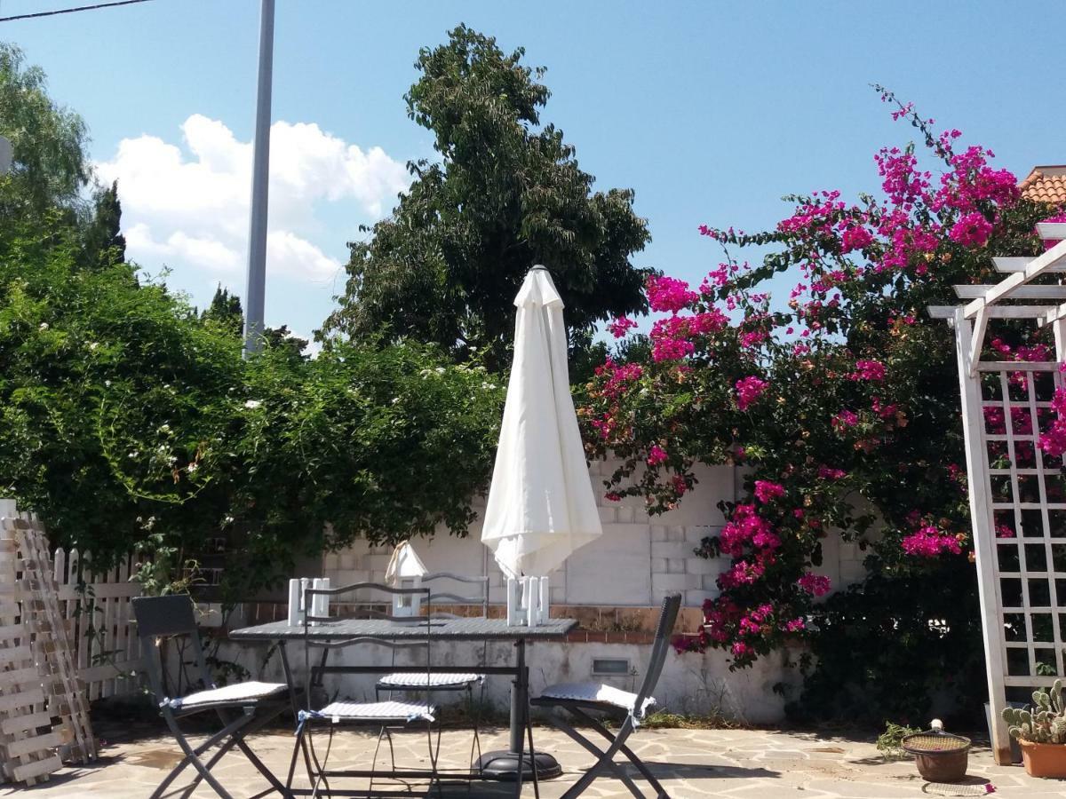Casa Agrumeto - Locazione Turistica Mondello Luaran gambar