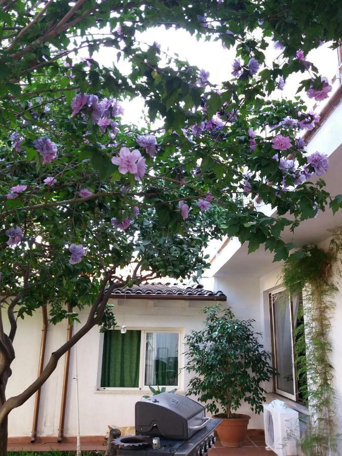 Casa Agrumeto - Locazione Turistica Mondello Luaran gambar